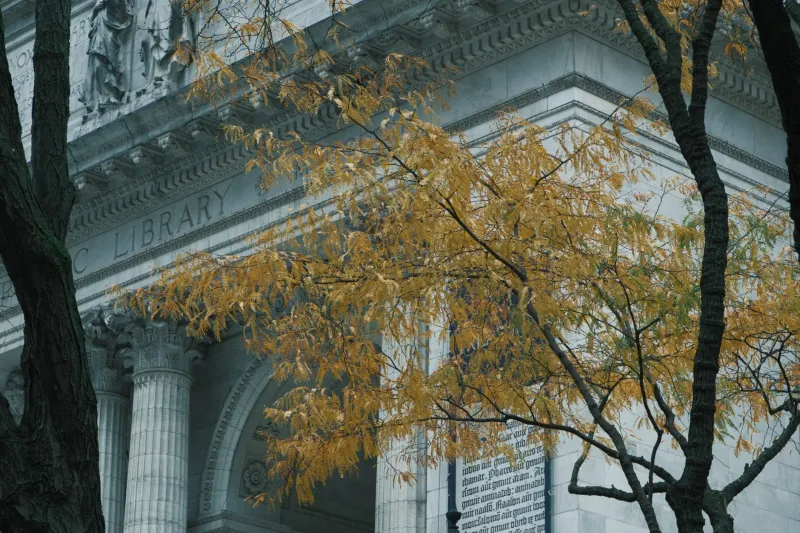 Every Generation Thinks It Invented the Free Library — And the Fight That Comes With It