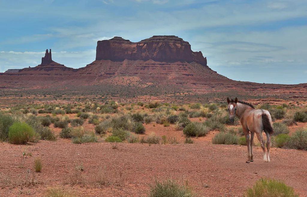 American West